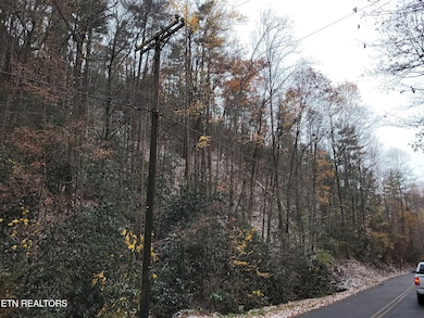Lot 35/36 Alpine Dr, Sevierville, TN 37876 - photo 2