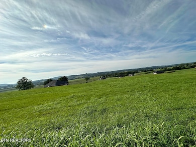 LOT 17 Starling Ln, Speedwell, TN 37870 - photo 4