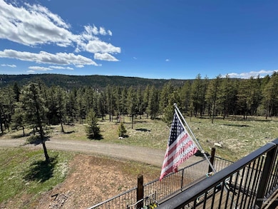 23003 Deer Creek Rd, Winchester, ID 83555 - photo 6