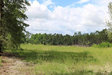 0 Rd, Garfield, GA 30425 - photo 3