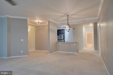 24678 Byrne Meadow Square, Aldie, VA 20105 - photo 2