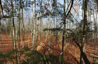 lot 93-1 Wallace unit 93-1, Goffstown, NH 03045 - photo 2