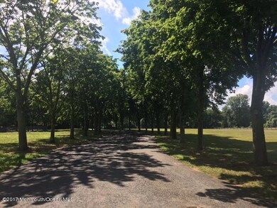 7 Princeton Lane Trees