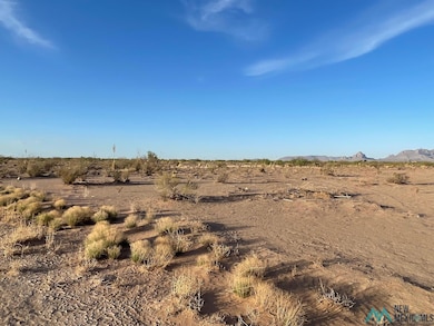 0 Yucca Land Estates unit 20253822, Deming, NM 88030 - photo 6