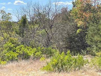 2116 Eagles Ridge Dr, Weatherford, TX 76087 - photo 4