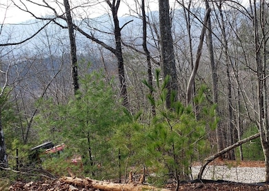 LT17 Mill Ridge Rd, Hiawassee, GA 30546 - photo 6