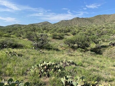 0 Goodenough Trail unit Lot 9 22525009, Vail, AZ 85641 - photo 7