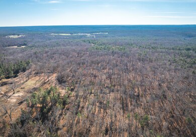 000 Deason Drive-Tract 1, Licking, MO 65542 - photo 4