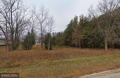 TBD N Mckay Ave, Alexandria, MN 56308 - photo 3