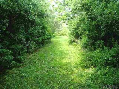 1 Long Grass Ln unit Long Grass Lane, Guilderland, NY 12009 - photo 4