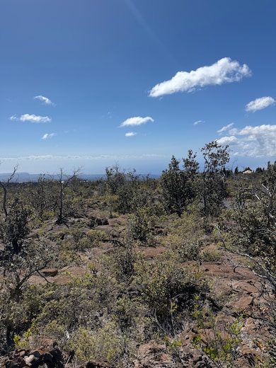 Views of South Point.