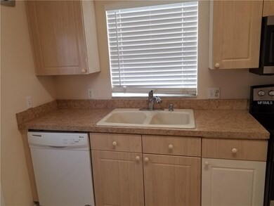 Kitchen counter dishwasher
