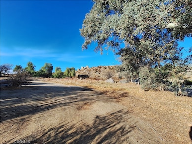 71 Juniper Flats Rd, Nuevo, CA 92567 - photo 5