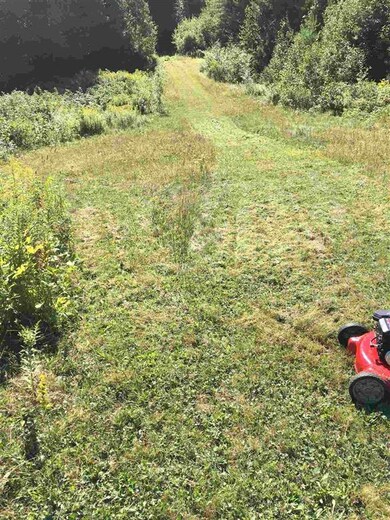 1735 Manns Hill Rd unit 1, Littleton, NH 03561 - photo 7