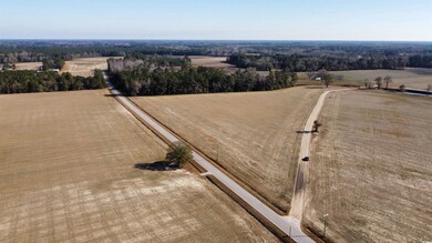 TBD Shelley Ln, Nichols, SC 29581 - photo 4