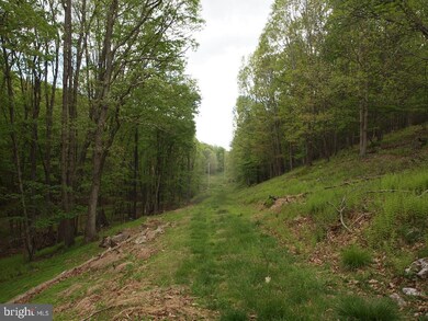 OFF RT. 8 Reeds Creek Rd, Franklin, WV 26807 - photo 3