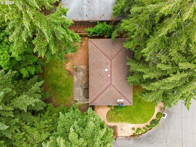 Drone View/UAV