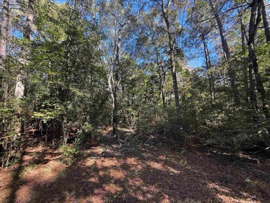 000 Eastwood Dr, Thicket, TX 77374 - photo 5