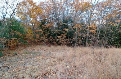 605 U S 2, Shelburne, NH 03581 - photo 3