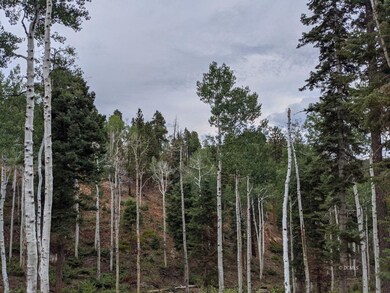 35 S Solitude, Duck Creek Village, UT 84762 - photo 4