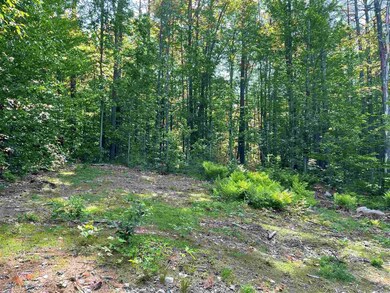 130 Granite Rd, Ossipee, NH 03864 - photo 6