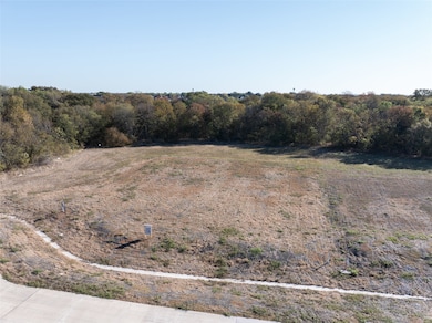 1001 Apollo Ct, Allen, TX 75002 - photo 4