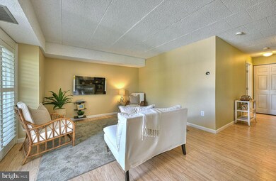 59 Maryland Ave unit 303, Rehoboth Beach, DE 19971 - photo 6