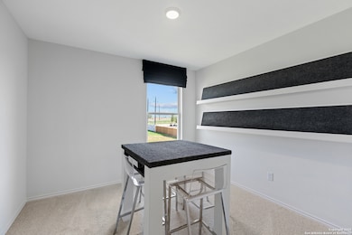 12016 Mutton Busting Dr, San Antonio, TX 78254 - photo 6