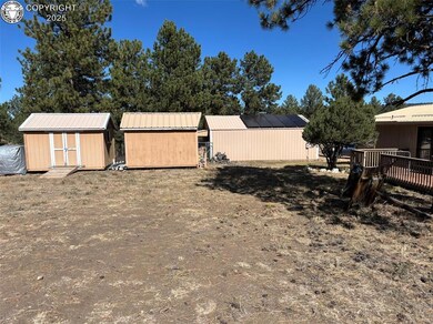 3549 County Road 265, Westcliffe, CO 81252 - photo 4