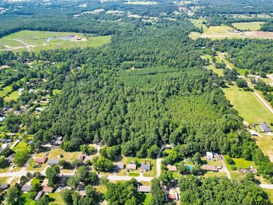 10114 C R 272, Tyler, TX 75707 - photo 6