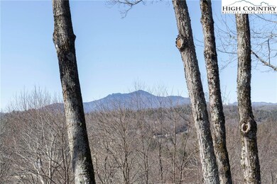 View of Grandfather Mountain