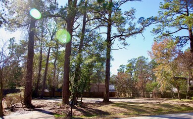 11919 Memorial Dr, Houston, TX 77024 - photo 3