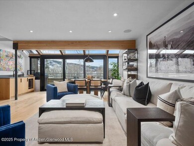 100 N 8th St unit 15, Aspen, CO 81611 - photo 4