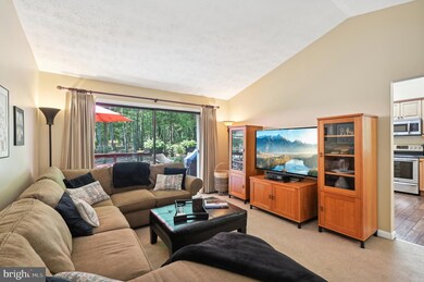 204 Arabian Ct, Gambrills, MD 21054 - photo 7