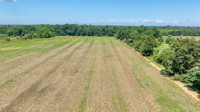 41-web-or-mls-DJI_0086_HDR