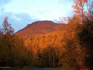 Autumn Mountain View
