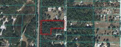 0 SW 189 Ave unit OM513596, Dunnellon, FL 34432 - photo 3
