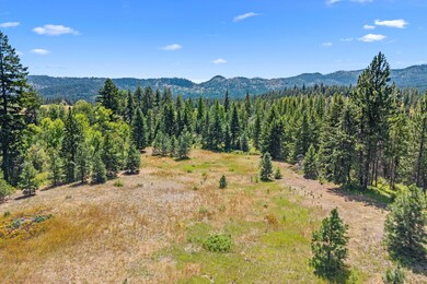 NNA Dry Creek Rd, Chewelah, WA 99109 - photo 5