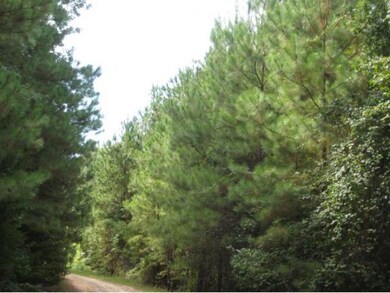 10.2 ac Hidden Leaf Trail, Nacogdoches, TX 75964 - photo 2