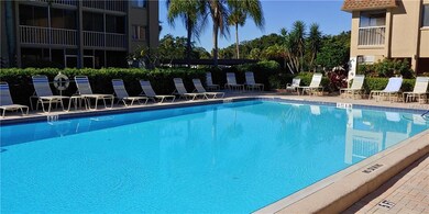 LARGE HEATED POOL