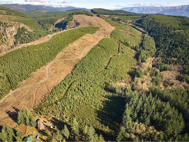 0 Kellett Rd unit A, Washougal, WA 98671 - photo 6