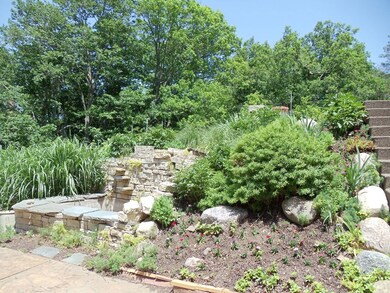 Coy Pond