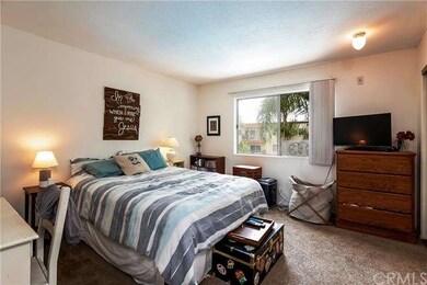 Spacious master bedroom with carpet flooring.