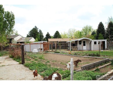 Chicken Coop & Goat Shed