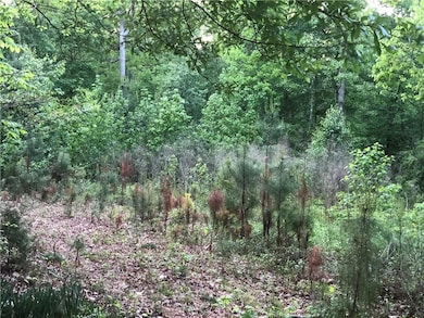 2165 Old Salem Rd SE, Conyers, GA 30013 - photo 7