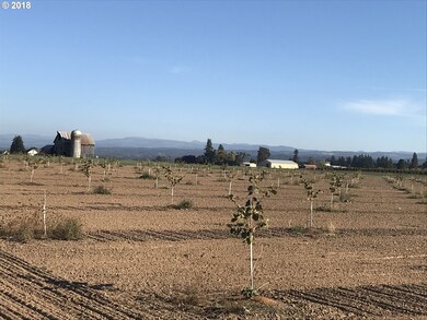 0 S Schneider Rd, Canby, OR 97013 - photo 3