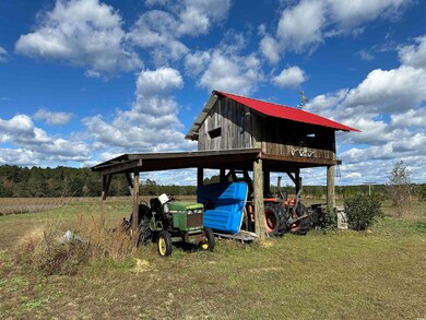 TBD Terry Rd, Andrews, SC 29510 - photo 6