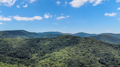 4.69 AC Rockwater Rd, Cherry Log, GA 30522 - photo 2