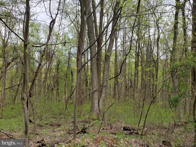 0 Mosby Springs Rd, Happy Creek, VA 22642 - photo 2