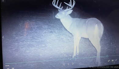 0 Mayes unit 2548587, Adair, OK 74330 - photo 5